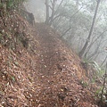 谷關七雄之東卯山