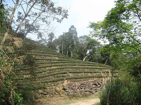 大舌湖山O型