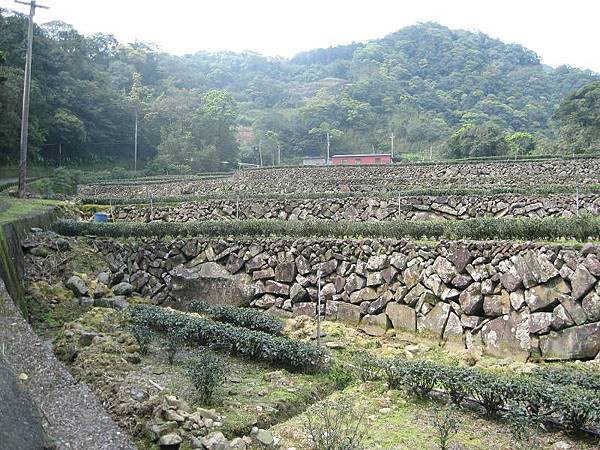 大舌湖山O型