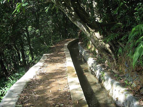 登峰圳 內雙溪古道 北五指山 荷蘭古道 O型