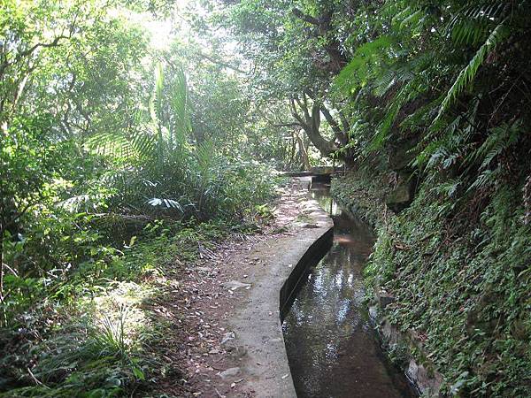 登峰圳 內雙溪古道 北五指山 荷蘭古道 O型