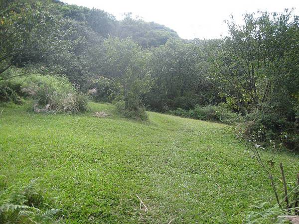 登峰圳 內雙溪古道 北五指山 荷蘭古道 O型