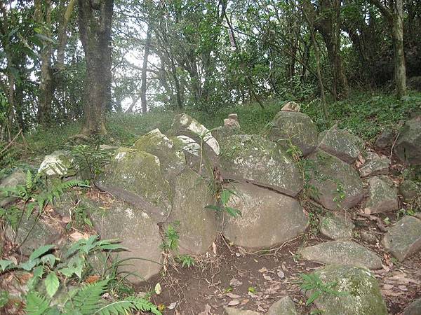 登峰圳 內雙溪古道 北五指山 荷蘭古道 O型