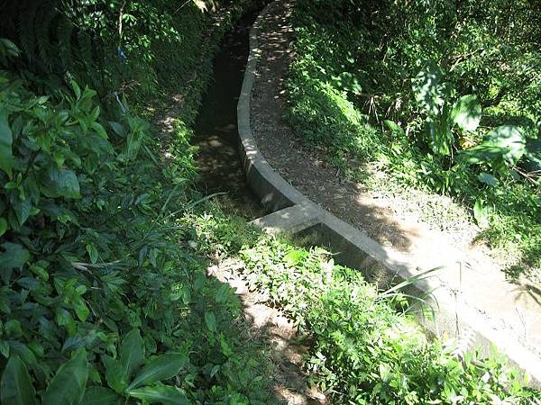 登峰圳 內雙溪古道 北五指山 荷蘭古道 O型