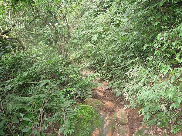 頂山南峰、頂山、杏林山、北五指山