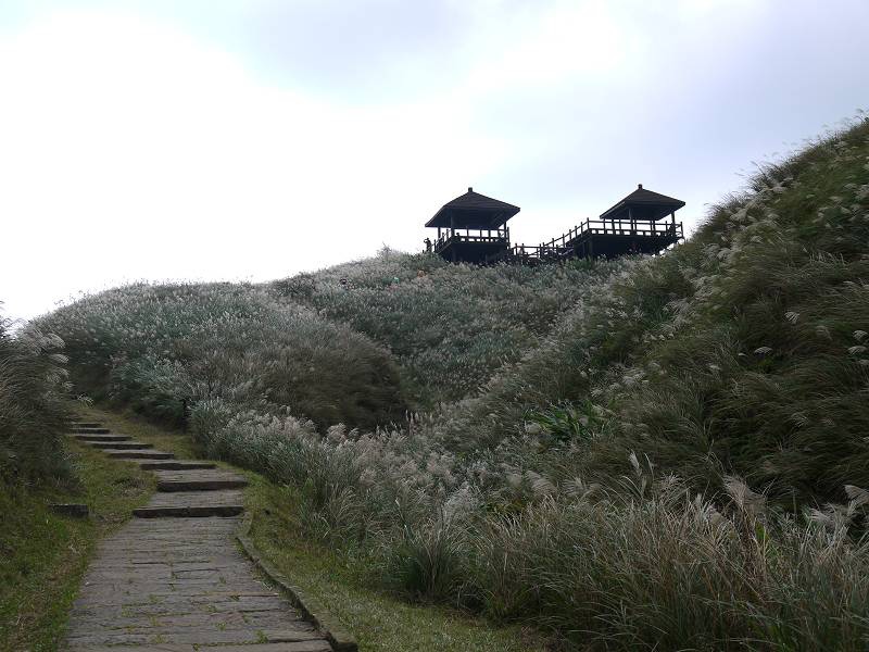 草嶺古道