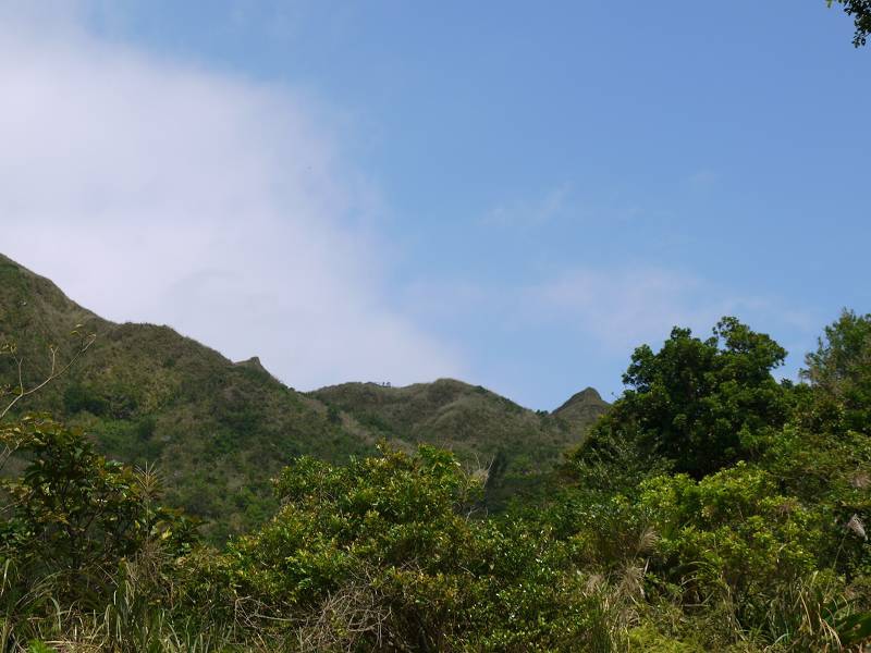 草嶺古道