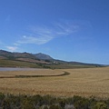 P1050461.JPG  2號高速公路(Garden Route) 麥田景觀