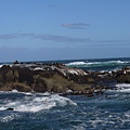 P1050186.JPG   海獅島