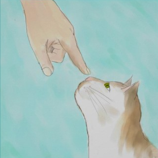 love my cat love my cat