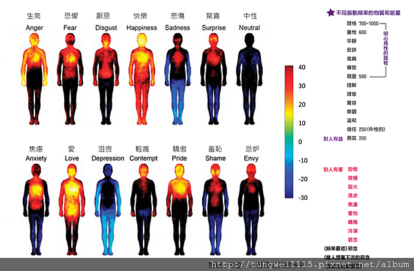 Image result for 情緒的能量頻率