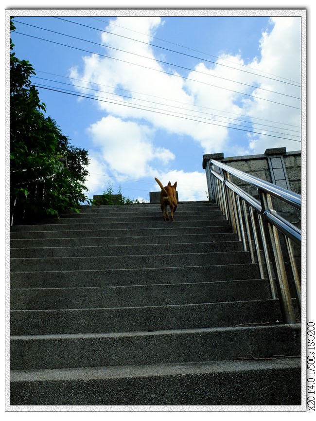 阿根納造船廠