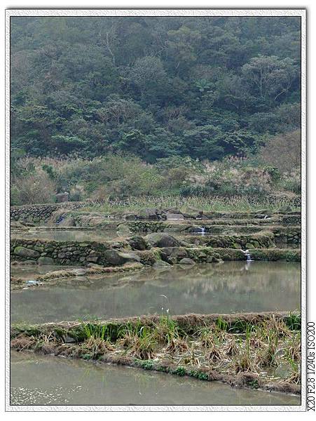 遠望坑親水公園