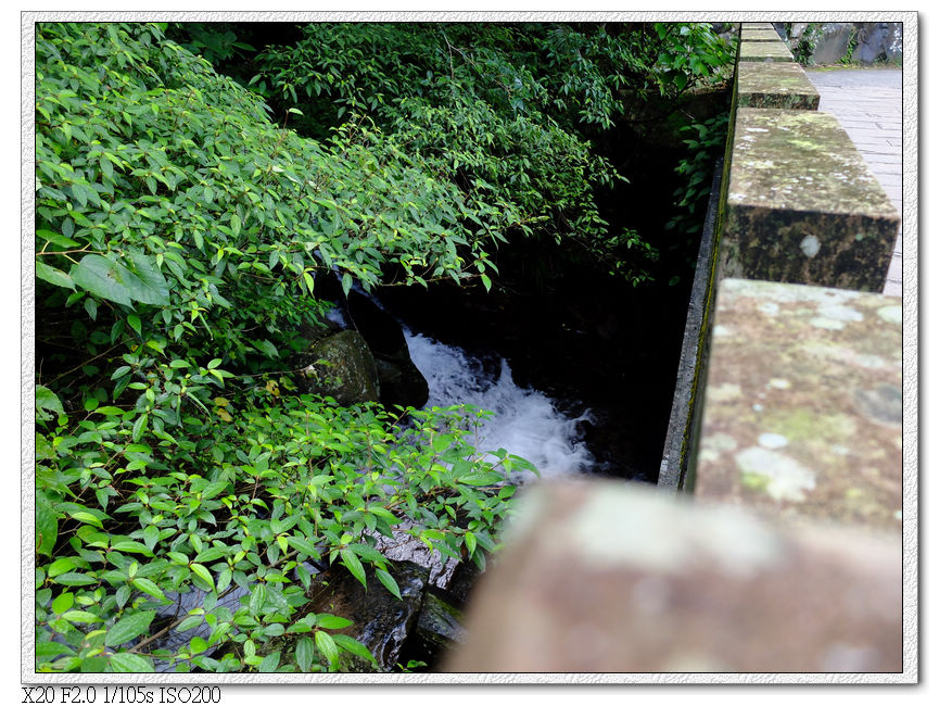 跌死馬橋