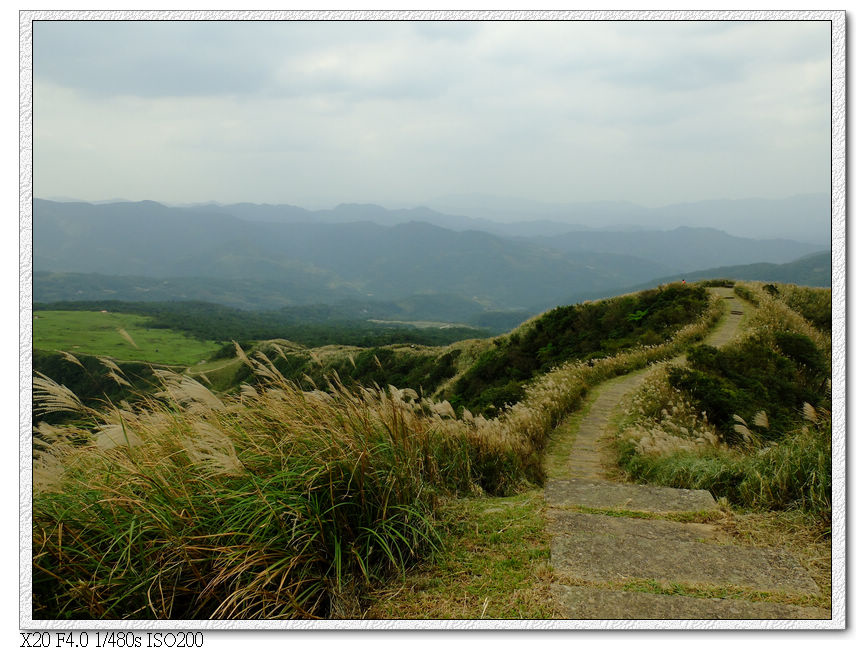 觀景台風景