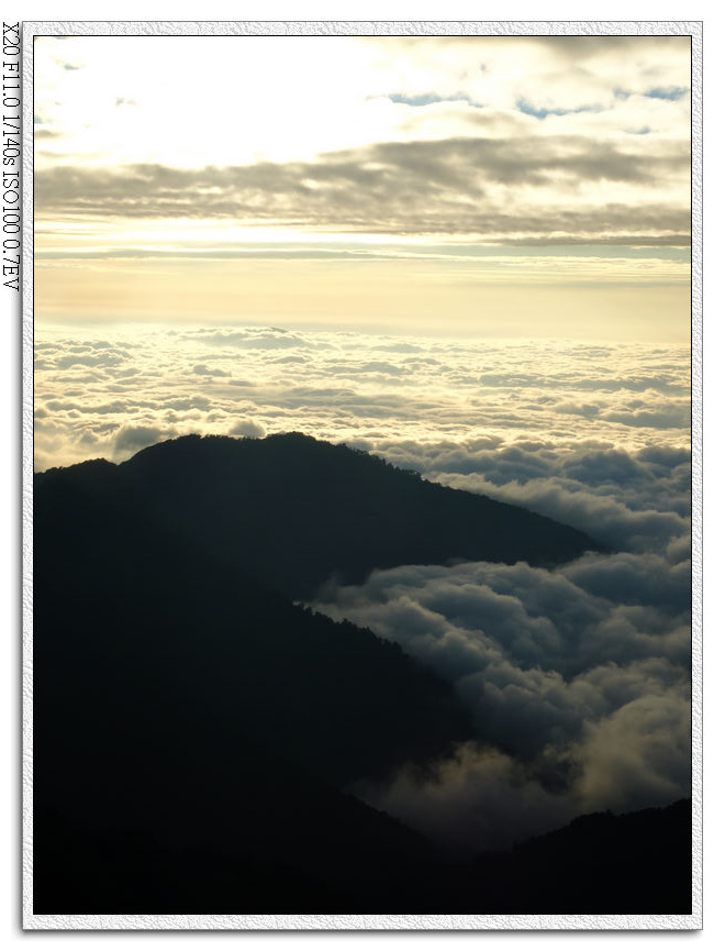 主峰步道雲海