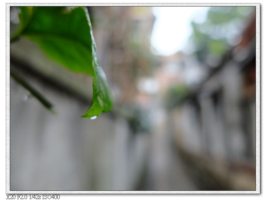 鼓浪嶼迷路中