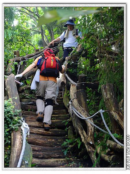 跟著小白一路往上