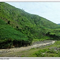 路邊風景