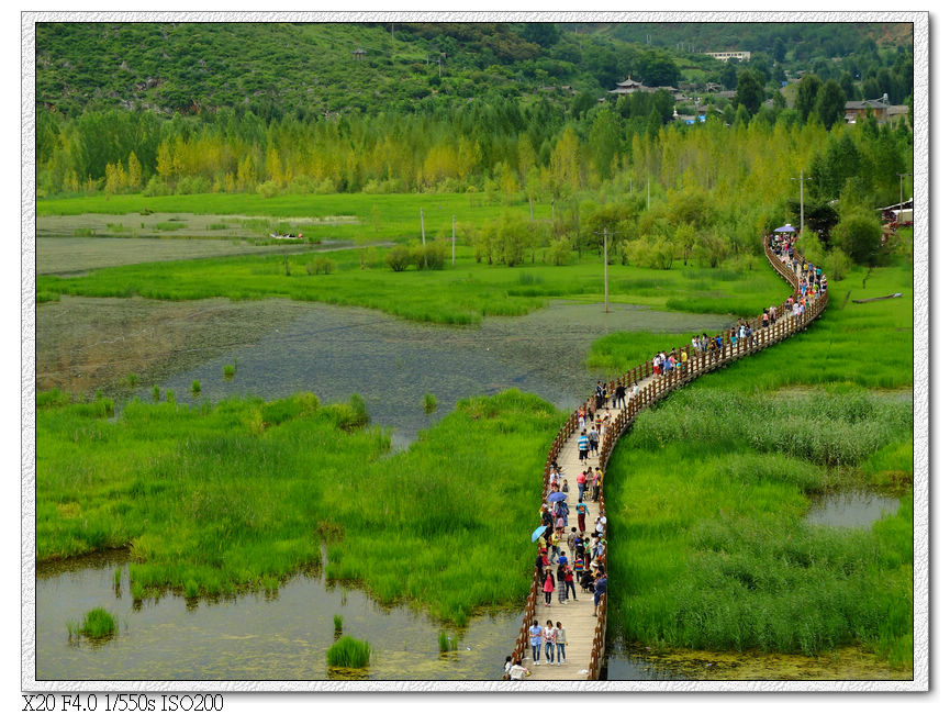 走婚橋