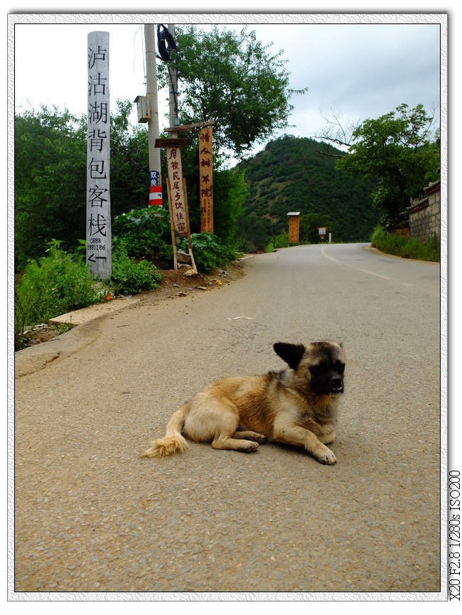 尼賽,瀘沽湖背包客棧