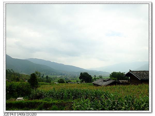 路上風景