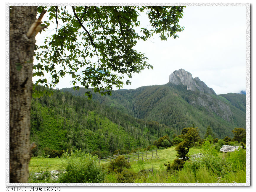 路邊風景