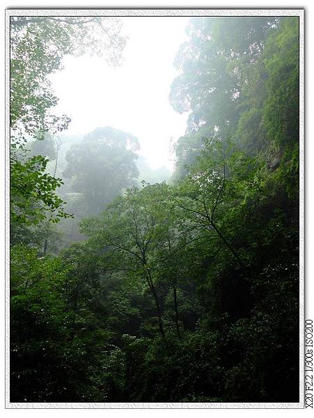 山林.下雨中