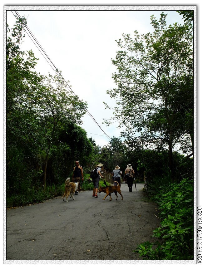 都是這樣的產業道路