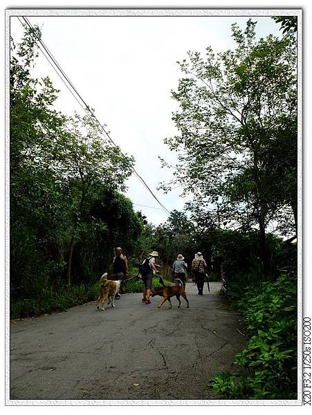 都是這樣的產業道路