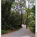 奧萬大森林公園步道