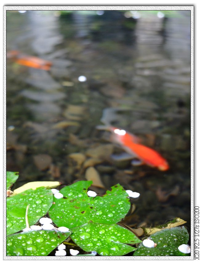 大里菩薩寺