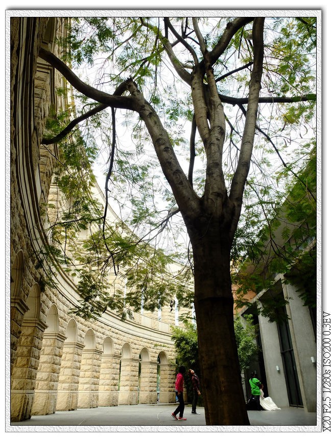 亞洲大學體育館