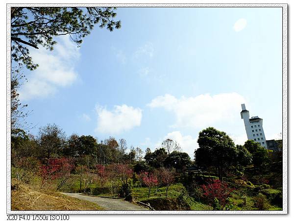 櫻花園步道