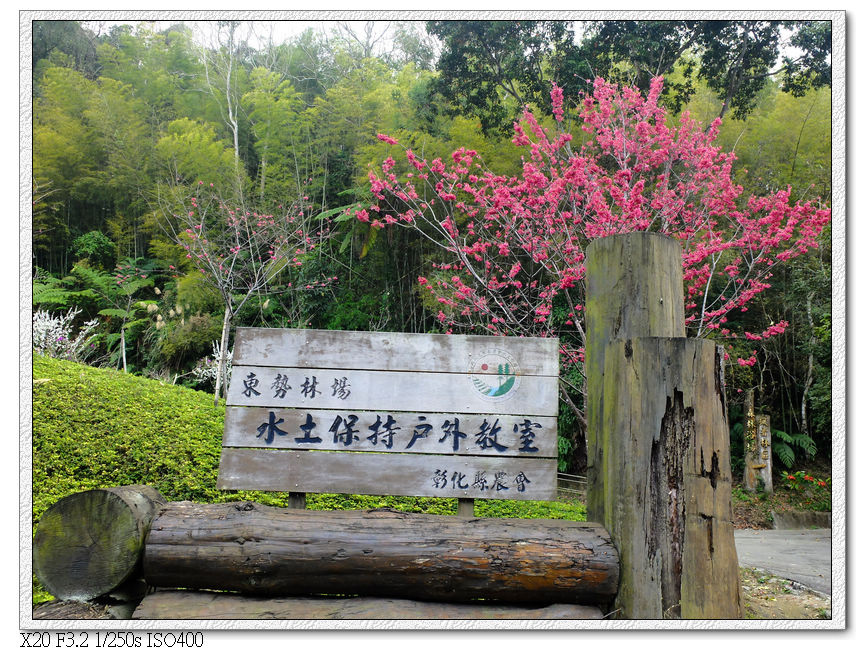 民俗公園後方園區