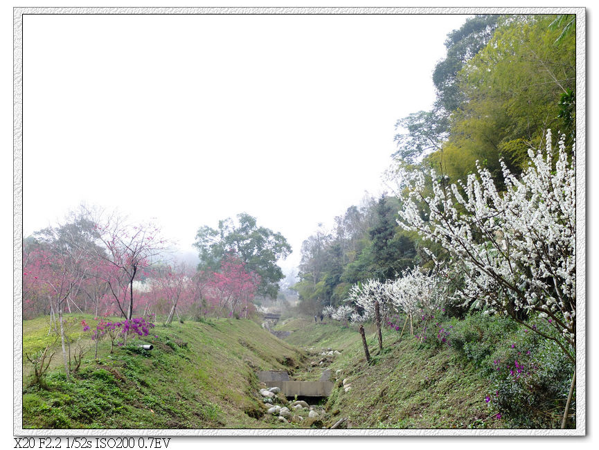 民俗公園後方園區