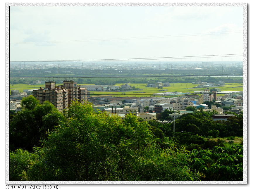 附近住家跟稻田