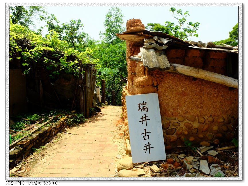 瑞井社區-古井往土地公廟出口