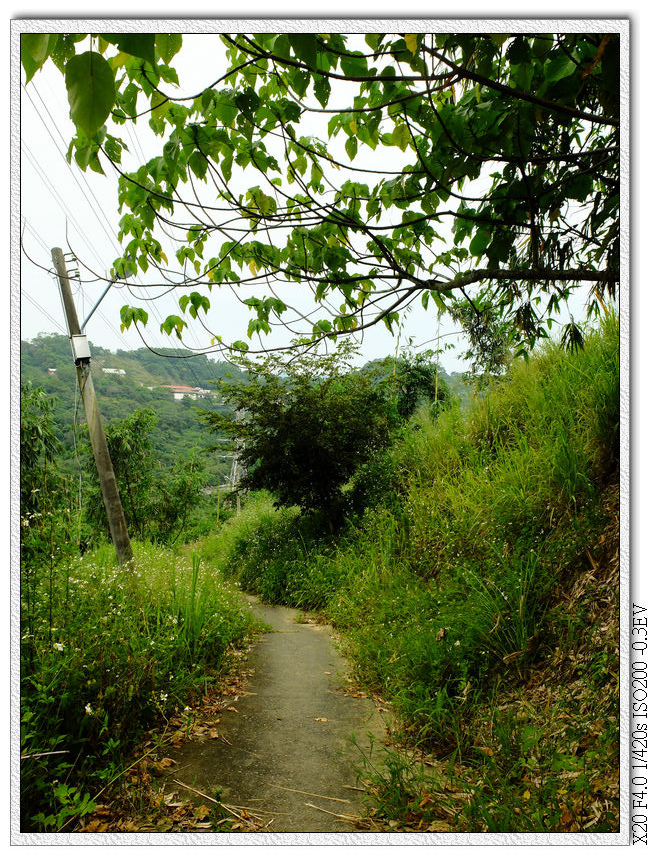 下來後街水泥道路,有廢棄路燈一支