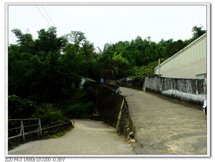 回到橫坑巷住宅區,有兩條路上去