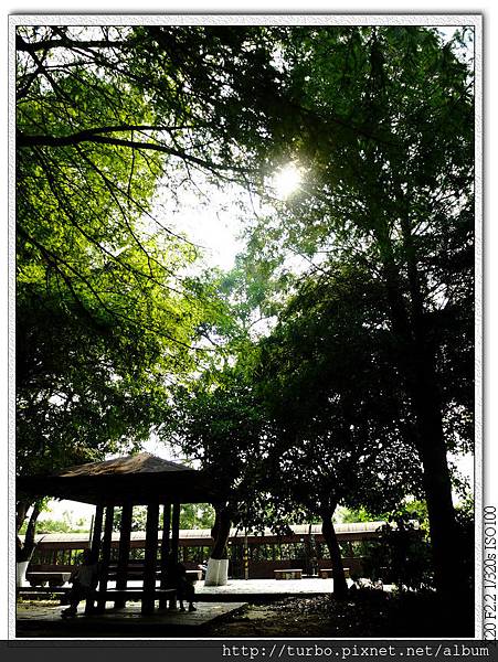 古坑綠色隧道景觀公園