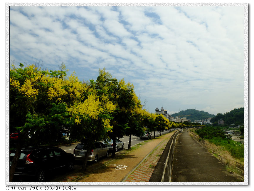 祥順路單車道