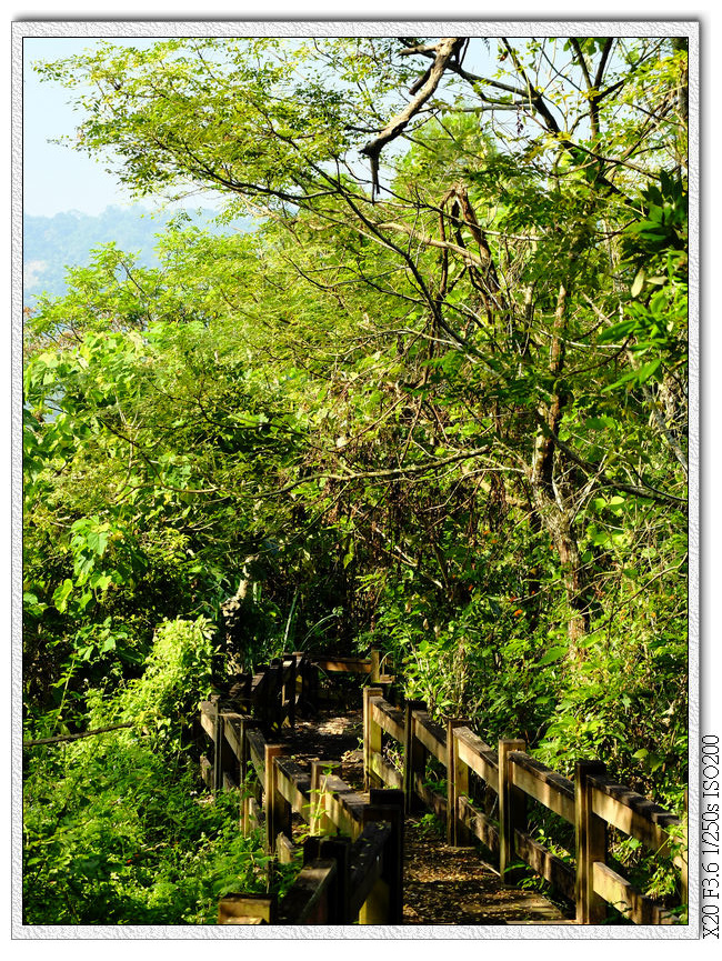 草嶺觀景步道