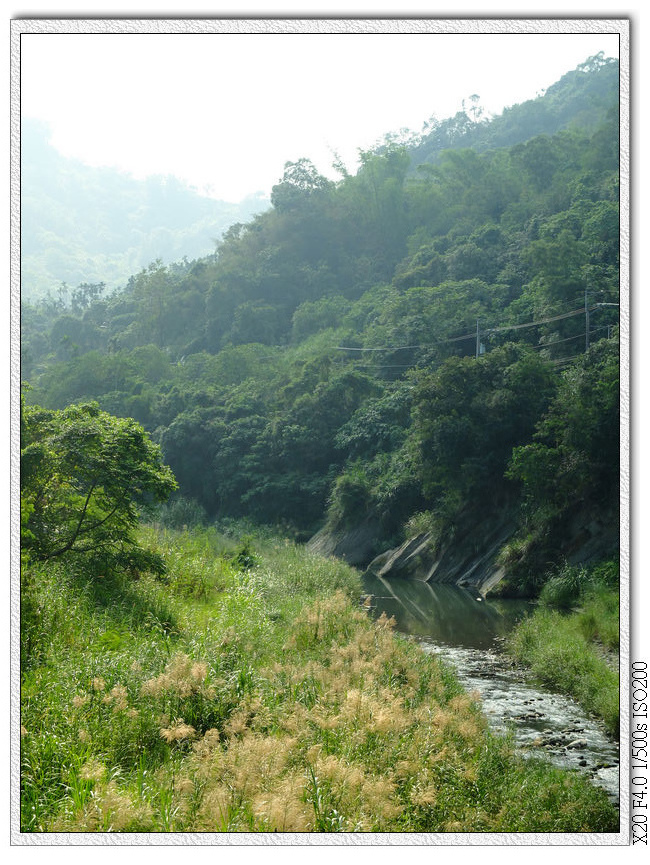 頭汴坑溪