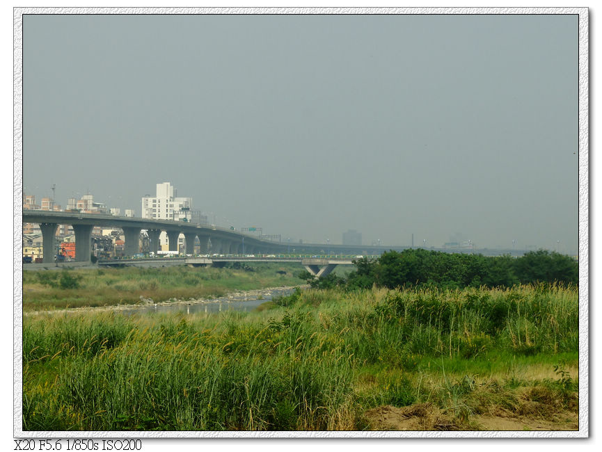 大里溪岸