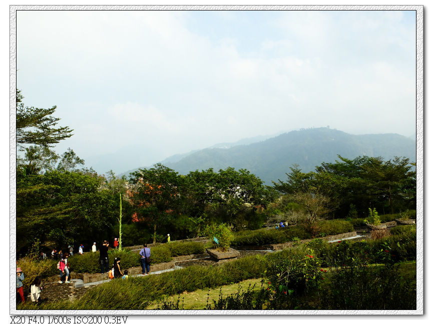 泰興巖後花園