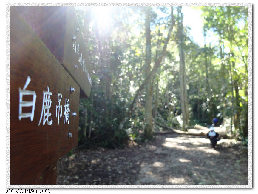 10:15 剩0.1km,前方有倒木,車子最多騎到這邊