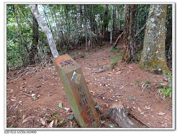 12:21 2.5km處,進入平緩路段