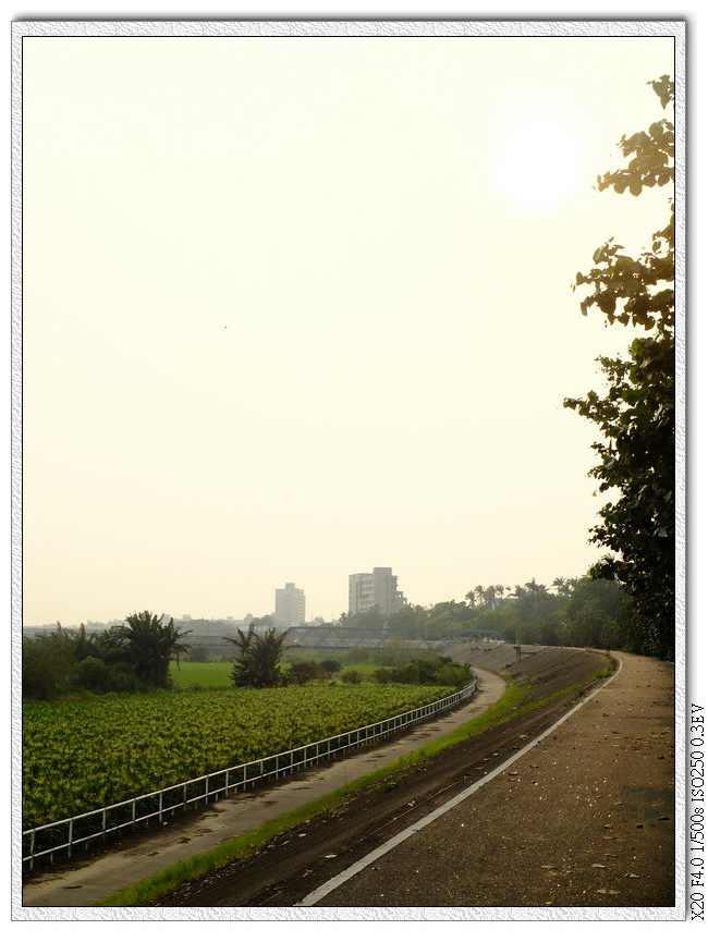 閃閃發光的堤防路