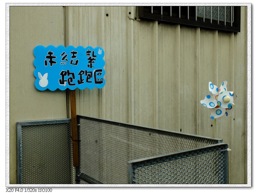 綠萼春風-未結紮兔子區 綠萼春風-未結紮兔子區